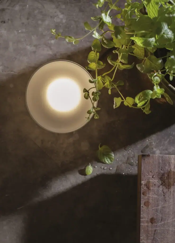 Karman Agua table lamp, lit outdoors on stone with a trailing plant
